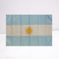Argentina Flag 
